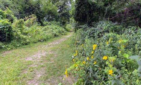 Long Lake Park Ogden Dunes
