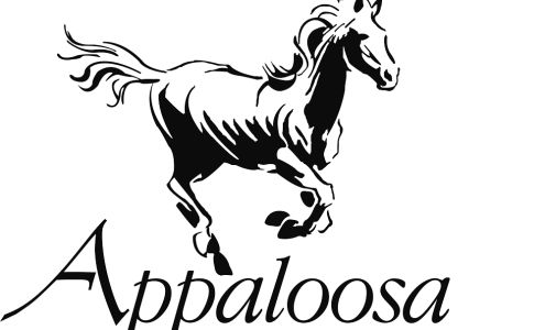 Appaloosa LP