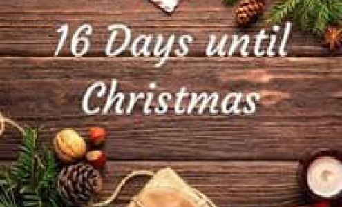 Deb's Tree Farm Conneaut