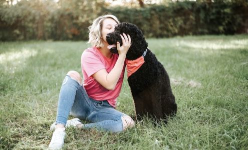 Sittin’ Pretty Grooming 1487 Green Hill Welchburg Rd, Annville Kentucky 40402