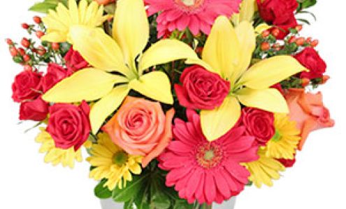 Wild Rozie's Flower Mkt. 505 S Broadway St, Checotah Oklahoma 74426