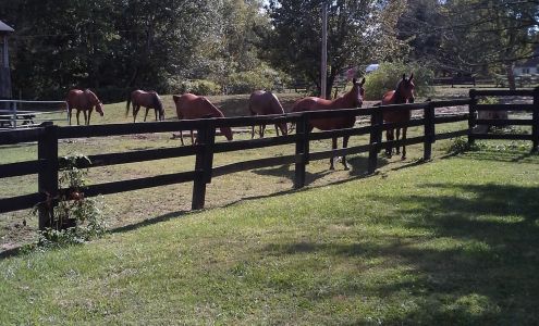 Lamp Post Stables Hollyvilla