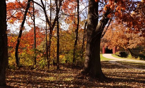 Color My World Child Care Center