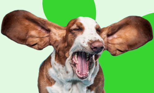 TrustedPals Pet Insurance