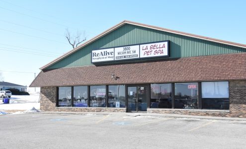 ReAlive Metaphysical