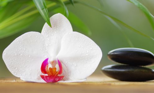 Nisha Threading Salon Clovis