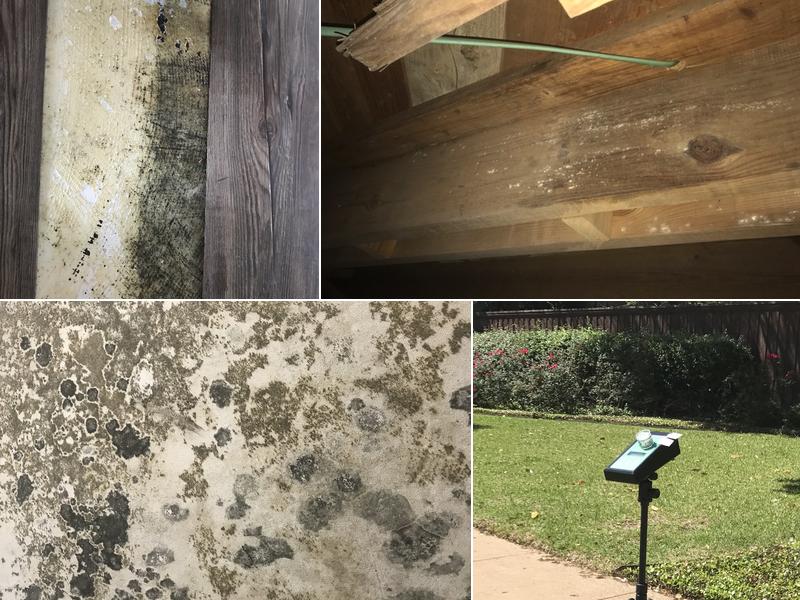 Texas Mold Testing, LLC