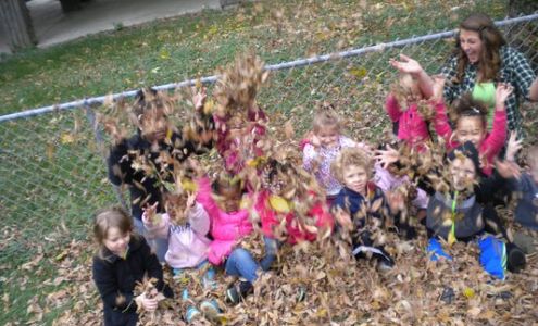 Little Cupcakes Child Care