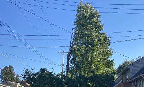 Penn Line Enterprises, Inc.