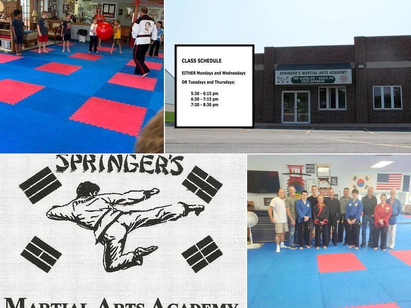 Springer's Tae Kwon-Do