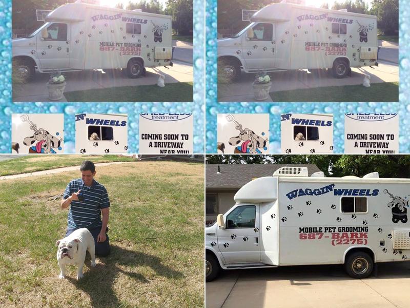 Waggin' Wheels Mobile Pet