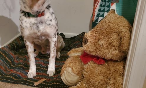 Great Plains SPCA Lost Pet and Admission Center