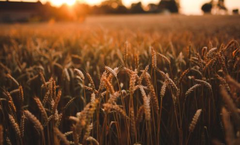 Great Plains Medical