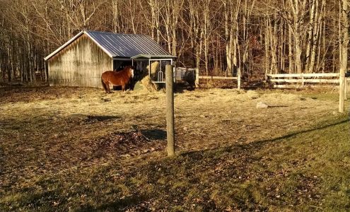 Thunder View Farms Grahamsville