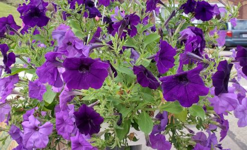 Big Prairie Local Produce Big Prairie