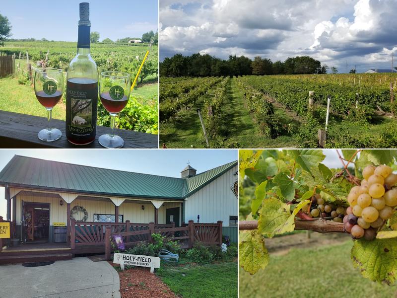 Holy-Field Vineyard & Winery