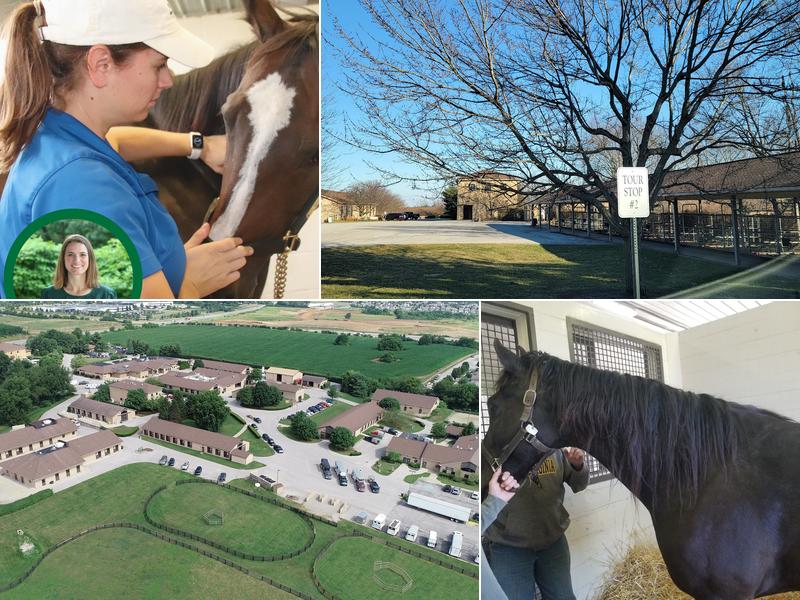 Rood & Riddle Equine Hospital