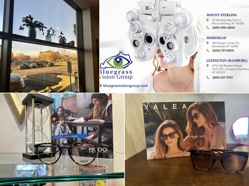 Bluegrass Vision Group of Hamburg