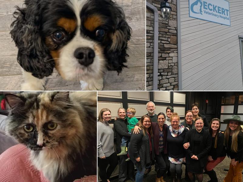 Eckert Veterinary Hospital