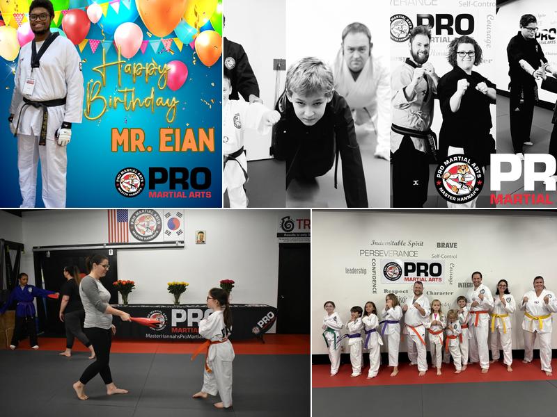 Master Hannah's Pro Martial Arts