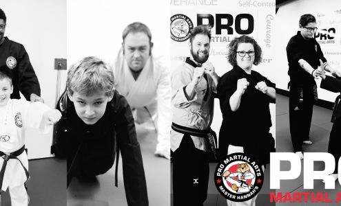 Master Hannah's Pro Martial Arts