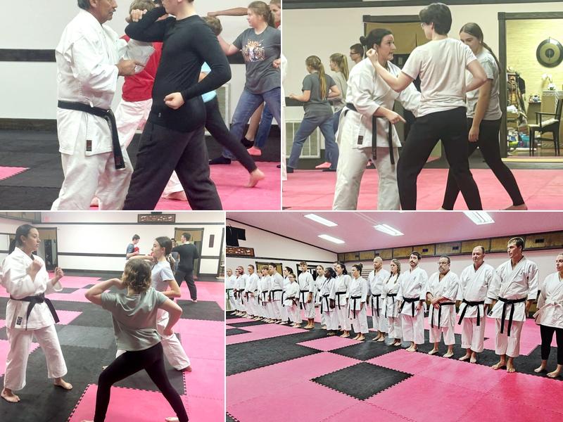 Budo Traditional Karate