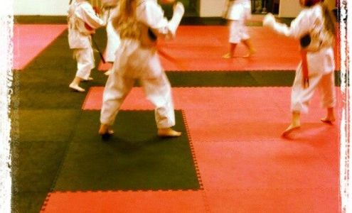 Budo Traditional Karate