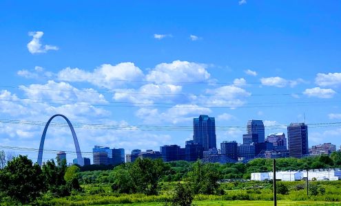 Newman Carriers Inc 65 Fairmont City Blvd, Fairmont City Illinois 62201