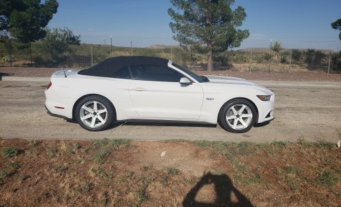 McKenzie Insurance Inc