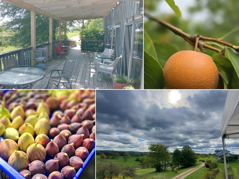 Willow Oaks Craft Cider and Wine