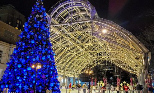 Reston Town Center Ice Skating Pavilion