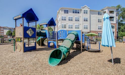 Young School - Waugh Chapel