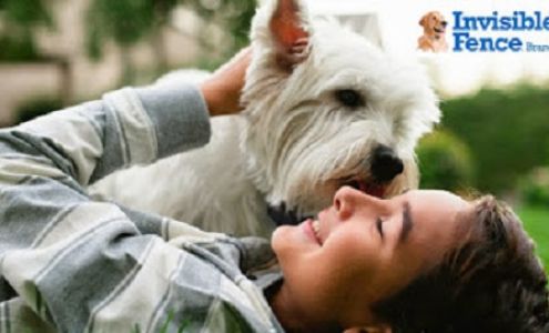 Invisible Fence Brand of San Angelo