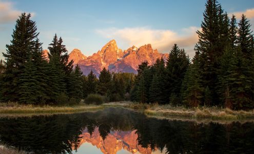 Apex Real Estate and Property Management