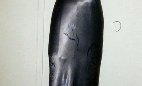Anahid Tailoring