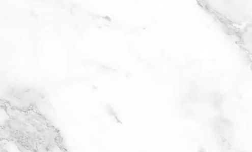 Yadira's Auto Registration Services