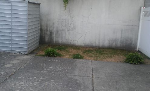 Brooklyn Color Factory