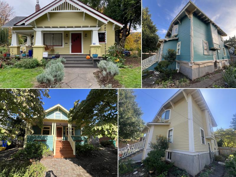 Chameleons Paint & Construction LLC