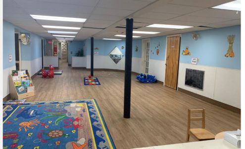 Lexington Knowledge Beginnings