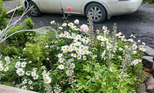 Dillingham Chiropractic Center 115 Main St E, Dillingham Alaska 99576