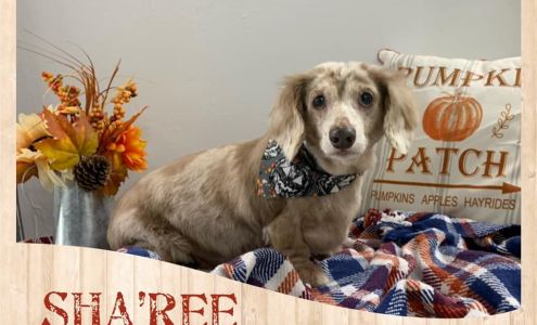 Critter’s Camping and Spa 57910 Broadway St, Plaquemine Louisiana 70764