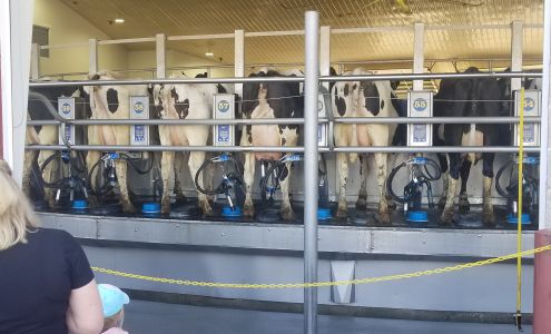 Grotegut Dairy Farm Inc Newton