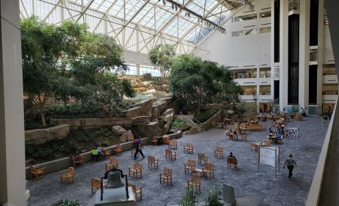 Saint Vincent Medical Group - Worcester Medical Center