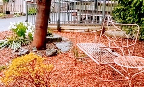 Elizabeth Fry Kingston