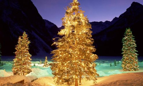 Ferguson Rick Flowers