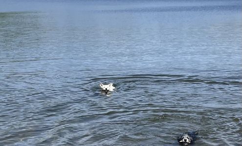 Western Veterinary Service 161 Norris St, Big Piney Wyoming 83113