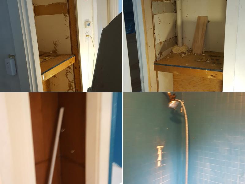 Wonderful Land of Pawz