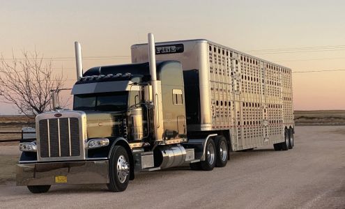 Fine Cattle Company 121 Yucca Dr, Portales New Mexico 88130