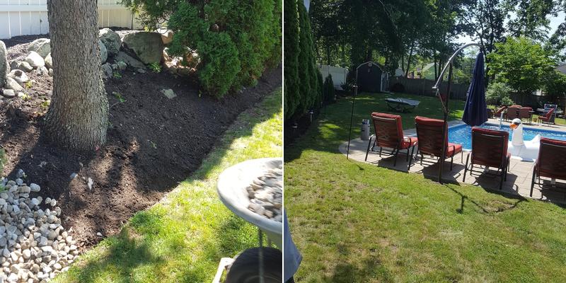 Clark's Ark Pet Care