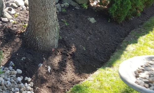 Clark's Ark Pet Care